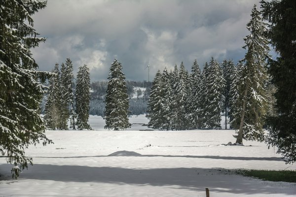 Quels sont les meilleurs itinéraires pour une randonnée dans les Alpes bernoises en Suisse?